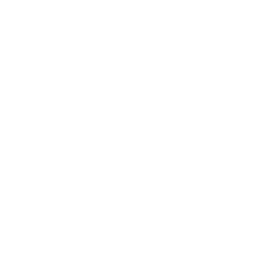 BMW logo