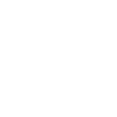 Fiat logo