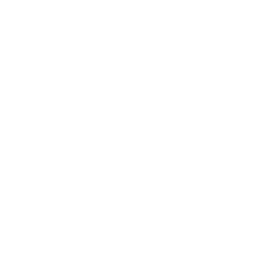 Lamborghini logo