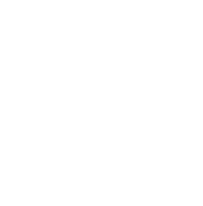 Polestar logo