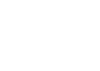 Scion logo