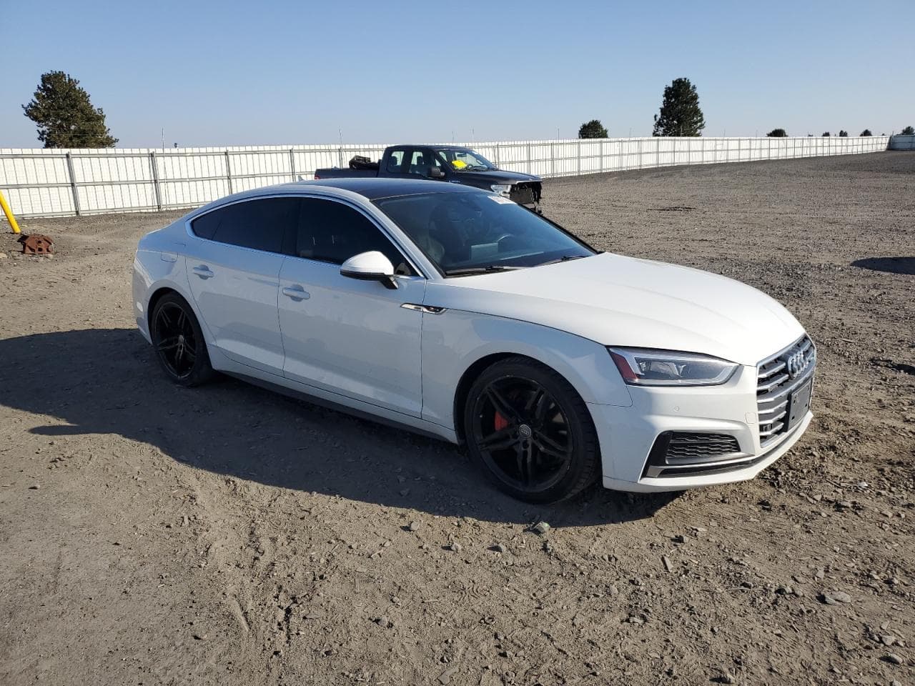 Audi A5 Premium Plus